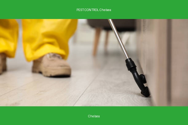 PEST CONTROL Chelsea